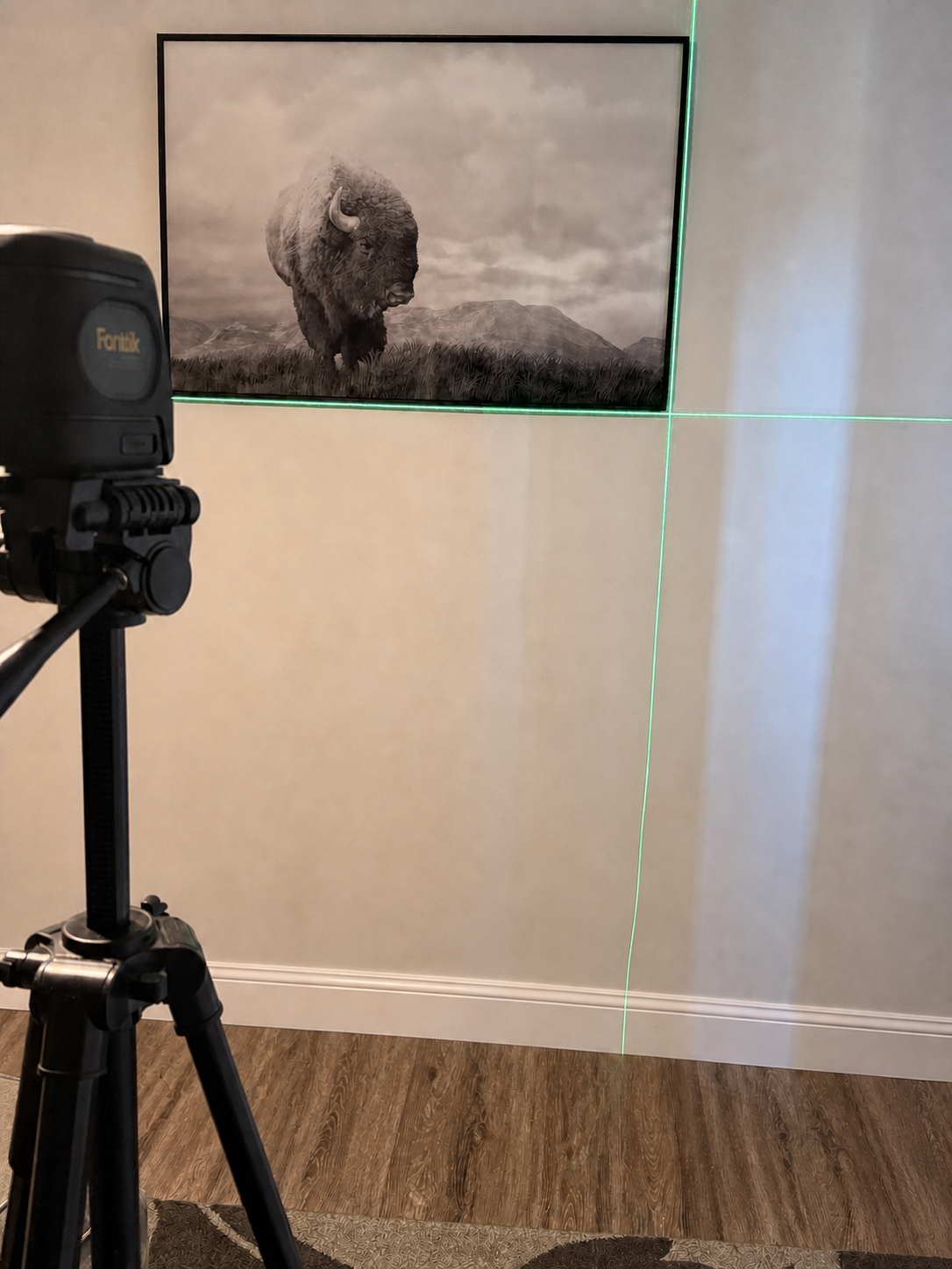 Artwork hanging setup
